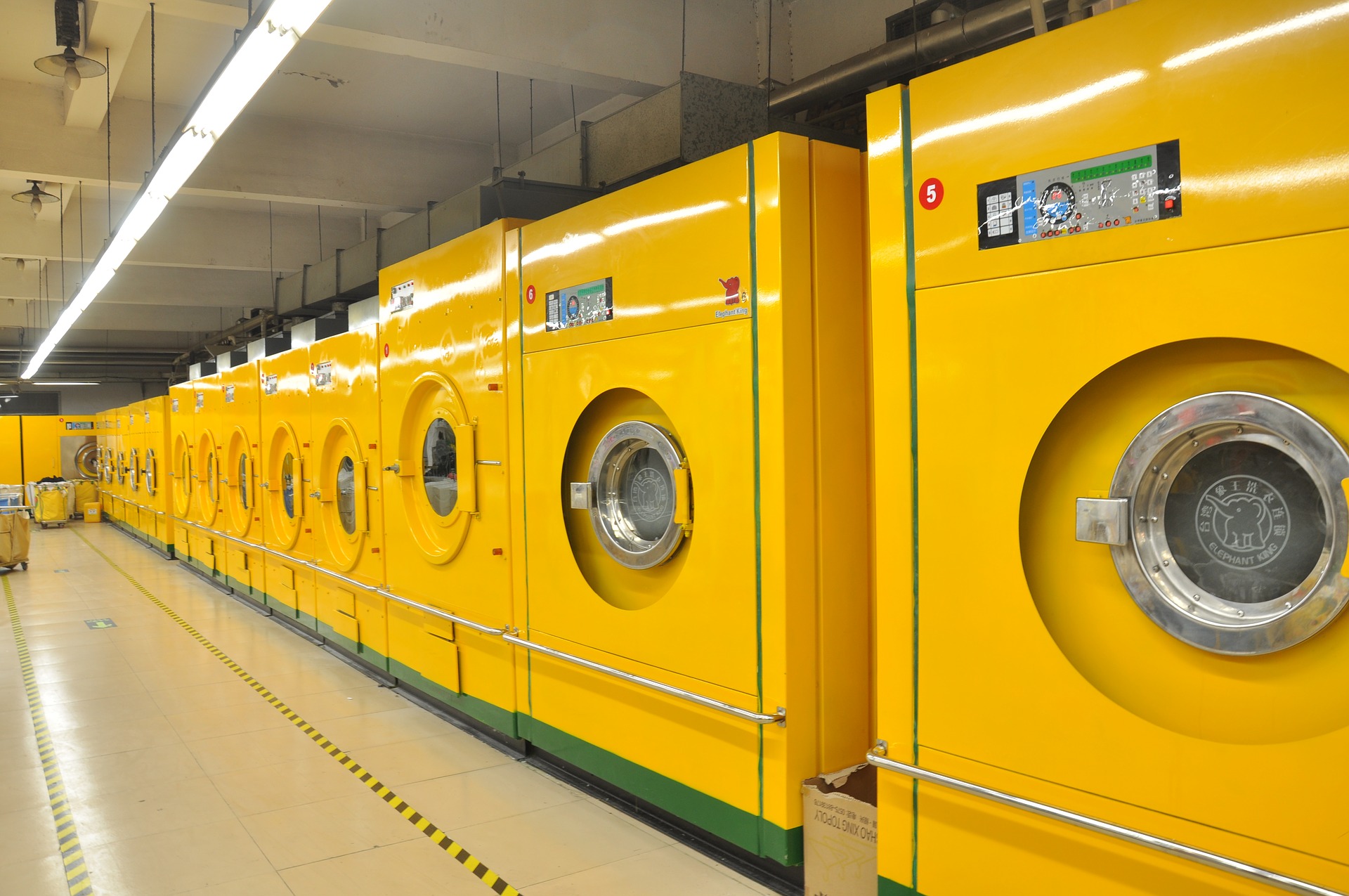 Många gula tvättmaskiner i en tvättstuga